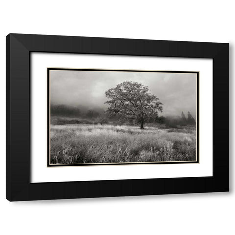 Field of Gold BandW Black Modern Wood Framed Art Print with Double Matting by Geyman, Vitaly