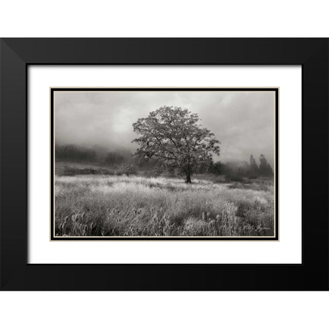 Field of Gold BandW Black Modern Wood Framed Art Print with Double Matting by Geyman, Vitaly