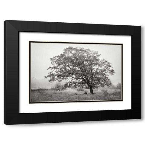 Burning Oak V BandW Black Modern Wood Framed Art Print with Double Matting by Geyman, Vitaly