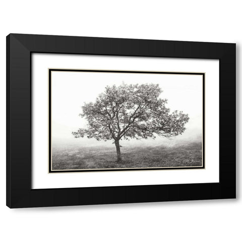 Burning Oak I BandW Black Modern Wood Framed Art Print with Double Matting by Geyman, Vitaly