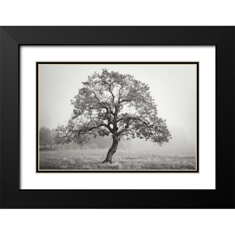 Burning Oak III BandW Black Modern Wood Framed Art Print with Double Matting by Geyman, Vitaly
