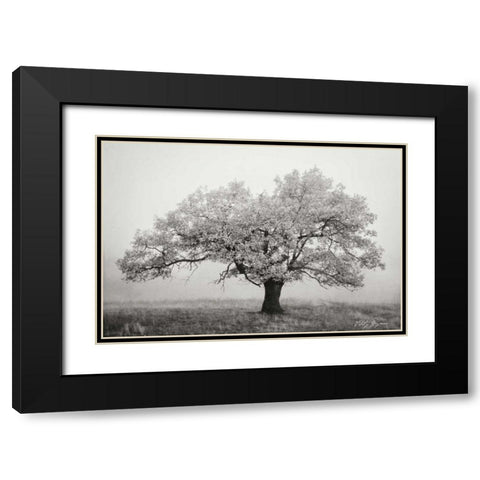 Misty V BandW Black Modern Wood Framed Art Print with Double Matting by Geyman, Vitaly