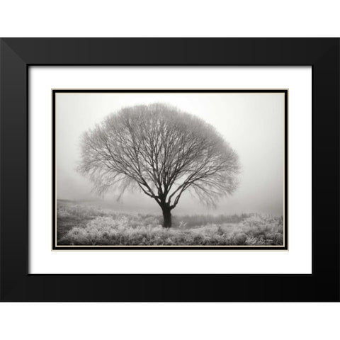 Tranquility II BandW Black Modern Wood Framed Art Print with Double Matting by Geyman, Vitaly