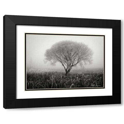 Tranquility III BandW Black Modern Wood Framed Art Print with Double Matting by Geyman, Vitaly