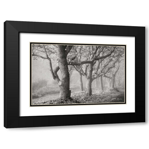Tree in the Mist BandW Black Modern Wood Framed Art Print with Double Matting by Geyman, Vitaly