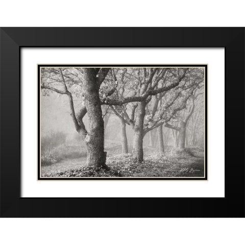 Tree in the Mist BandW Black Modern Wood Framed Art Print with Double Matting by Geyman, Vitaly