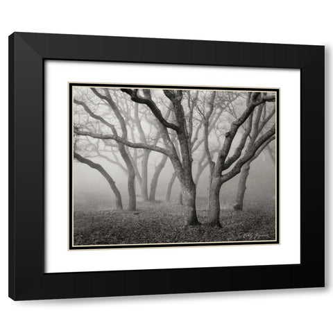 Misty Dance BandW Black Modern Wood Framed Art Print with Double Matting by Geyman, Vitaly