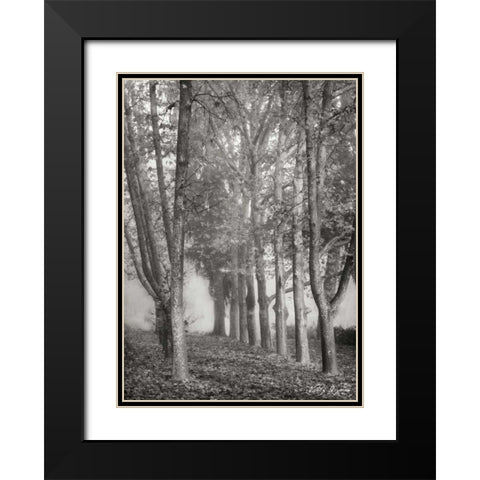 Tree Parade II BandW Black Modern Wood Framed Art Print with Double Matting by Geyman, Vitaly
