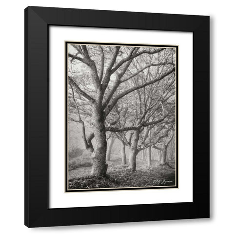 Tree in the Mist V BandW Black Modern Wood Framed Art Print with Double Matting by Geyman, Vitaly