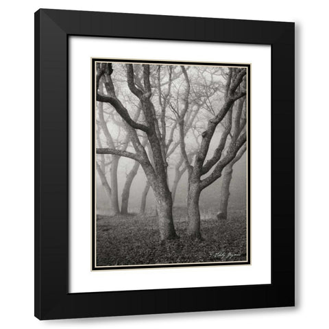 Misty Dance II BandW Black Modern Wood Framed Art Print with Double Matting by Geyman, Vitaly