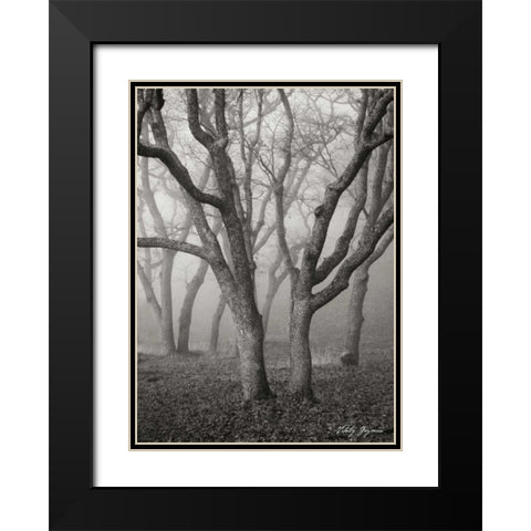 Misty Dance II BandW Black Modern Wood Framed Art Print with Double Matting by Geyman, Vitaly
