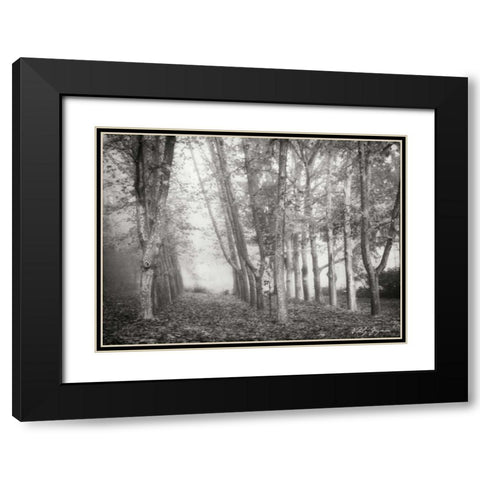 Tree Parade I BandW Black Modern Wood Framed Art Print with Double Matting by Geyman, Vitaly