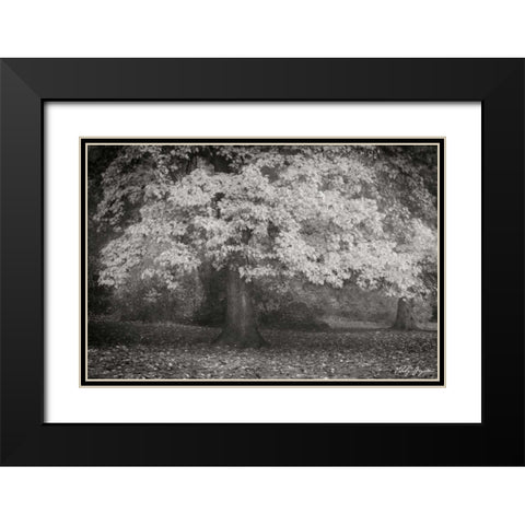 Autumn In Paris BandW Black Modern Wood Framed Art Print with Double Matting by Geyman, Vitaly