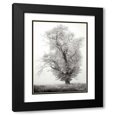 Misty Oak I BandW Black Modern Wood Framed Art Print with Double Matting by Geyman, Vitaly
