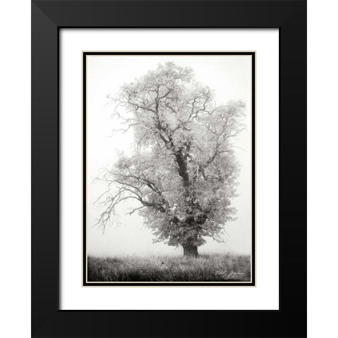 Misty Oak I BandW Black Modern Wood Framed Art Print with Double Matting by Geyman, Vitaly