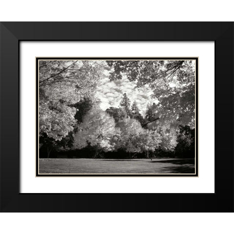 Fall Maple Fever V BandW Black Modern Wood Framed Art Print with Double Matting by Geyman, Vitaly
