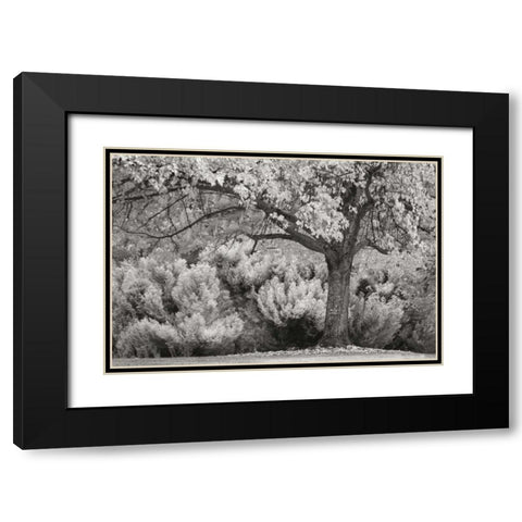 Ocean of Colors BandW Black Modern Wood Framed Art Print with Double Matting by Geyman, Vitaly