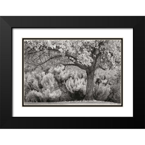 Ocean of Colors BandW Black Modern Wood Framed Art Print with Double Matting by Geyman, Vitaly
