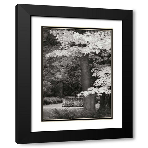 Fall Maple Fever XI BandW Black Modern Wood Framed Art Print with Double Matting by Geyman, Vitaly