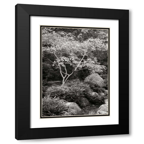 Japanese Park I BandW Black Modern Wood Framed Art Print with Double Matting by Geyman, Vitaly