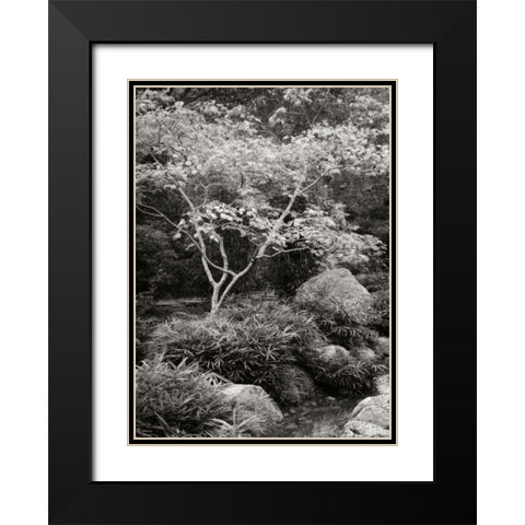 Japanese Park I BandW Black Modern Wood Framed Art Print with Double Matting by Geyman, Vitaly