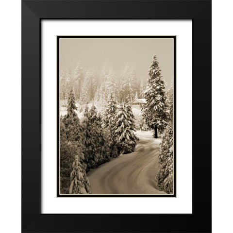 Mt. Ashland Rd II Black Modern Wood Framed Art Print with Double Matting by Geyman, Vitaly