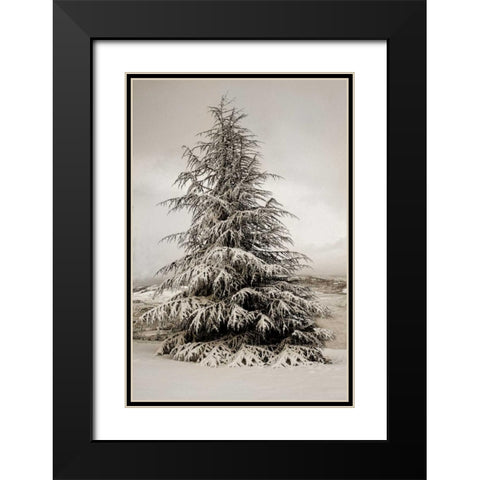 Snow White Pine Black Modern Wood Framed Art Print with Double Matting by Geyman, Vitaly