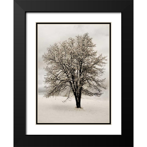 Snow White Tree Black Modern Wood Framed Art Print with Double Matting by Geyman, Vitaly
