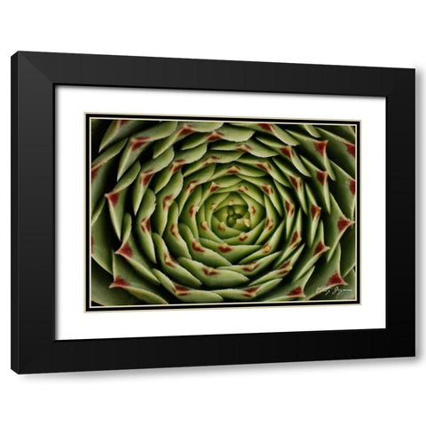 Floral Labyrinth I Color Black Modern Wood Framed Art Print with Double Matting by Geyman, Vitaly