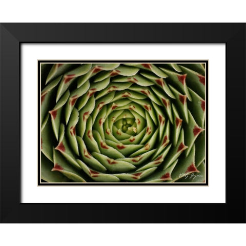 Floral Labyrinth I Color Black Modern Wood Framed Art Print with Double Matting by Geyman, Vitaly