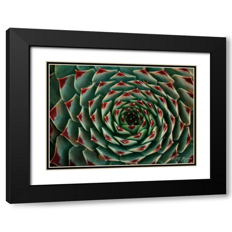 Floral Labyrinth II Color Black Modern Wood Framed Art Print with Double Matting by Geyman, Vitaly