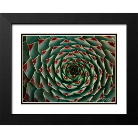 Floral Labyrinth II Color Black Modern Wood Framed Art Print with Double Matting by Geyman, Vitaly