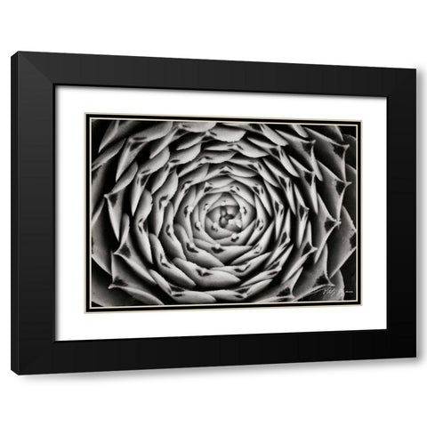Floral Labyrinth I Black Modern Wood Framed Art Print with Double Matting by Geyman, Vitaly