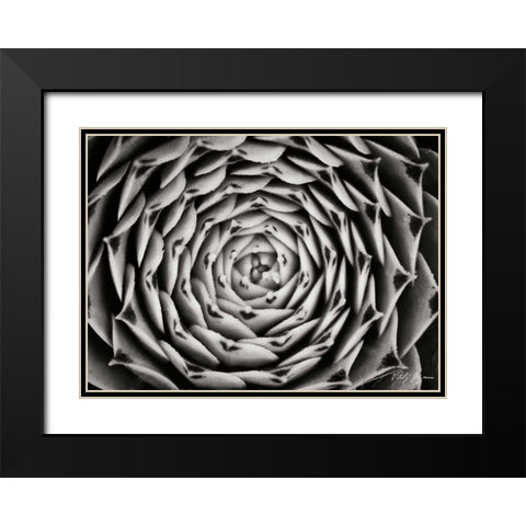 Floral Labyrinth I Black Modern Wood Framed Art Print with Double Matting by Geyman, Vitaly