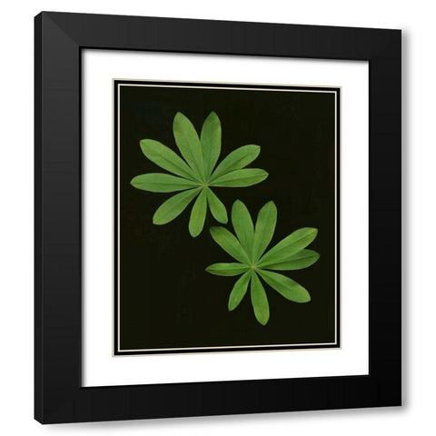 Green Leaves I Black Modern Wood Framed Art Print with Double Matting by Geyman, Vitaly