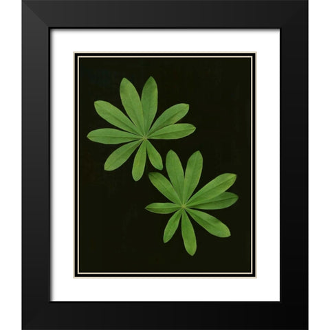 Green Leaves I Black Modern Wood Framed Art Print with Double Matting by Geyman, Vitaly