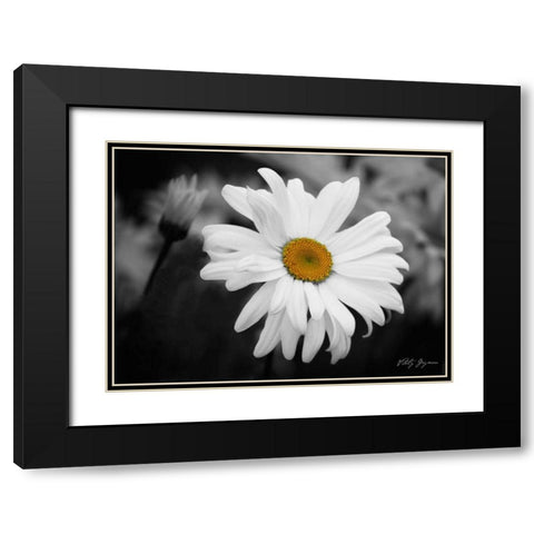 Daisy I BandW Black Modern Wood Framed Art Print with Double Matting by Geyman, Vitaly