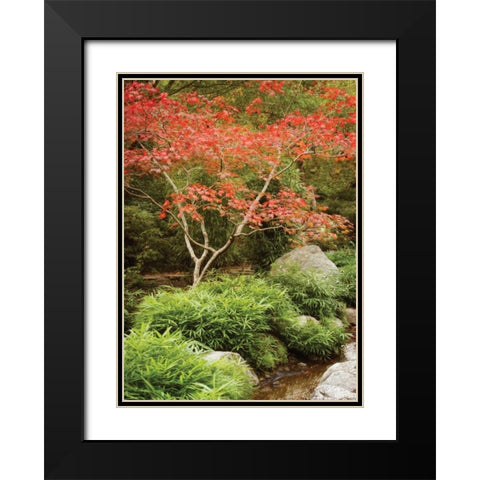 Japanese Park I Black Modern Wood Framed Art Print with Double Matting by Geyman, Vitaly