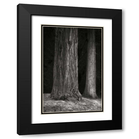 Ancient Forest II BandW Black Modern Wood Framed Art Print with Double Matting by Geyman, Vitaly
