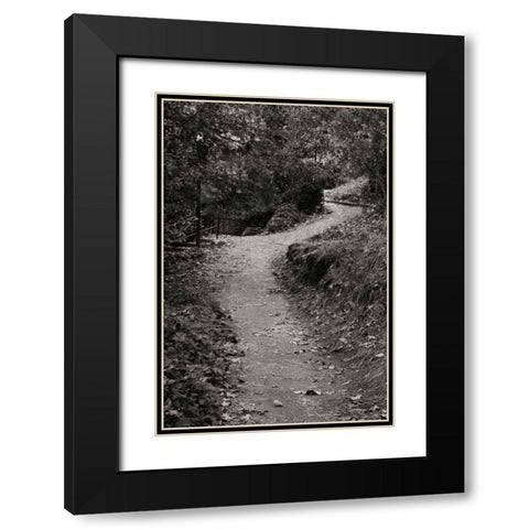 Autumn Path II BandW Black Modern Wood Framed Art Print with Double Matting by Geyman, Vitaly