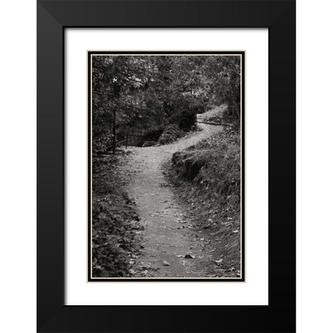 Autumn Path II BandW Black Modern Wood Framed Art Print with Double Matting by Geyman, Vitaly