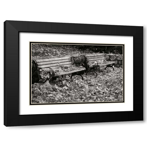 Autumn Paradise I BandW Black Modern Wood Framed Art Print with Double Matting by Geyman, Vitaly