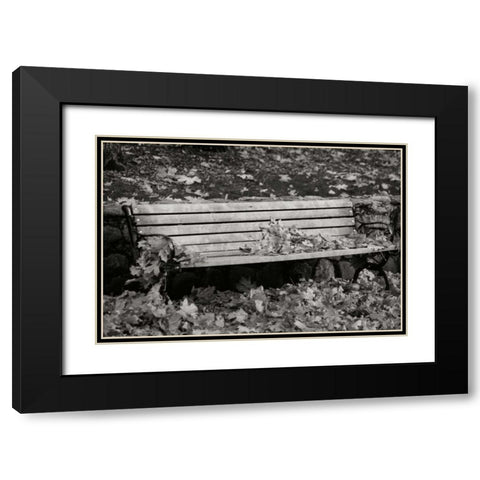 Autumn Paradise II BandW Black Modern Wood Framed Art Print with Double Matting by Geyman, Vitaly