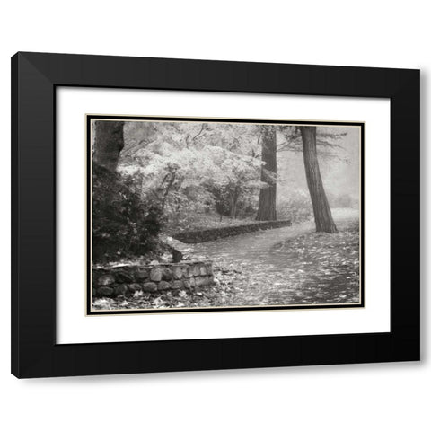 Autumn Paradise IV BandW Black Modern Wood Framed Art Print with Double Matting by Geyman, Vitaly