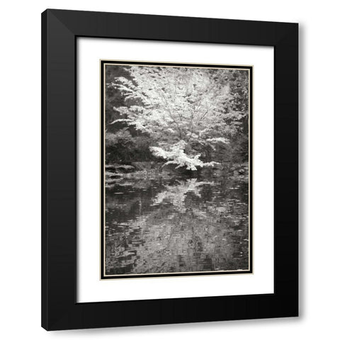 Fall Bouquet I BandW Black Modern Wood Framed Art Print with Double Matting by Geyman, Vitaly