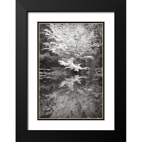 Fall Bouquet I BandW Black Modern Wood Framed Art Print with Double Matting by Geyman, Vitaly
