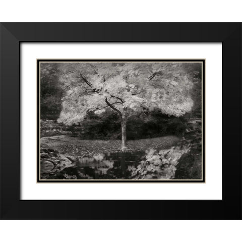 Autumn Reflections III BandW Black Modern Wood Framed Art Print with Double Matting by Geyman, Vitaly