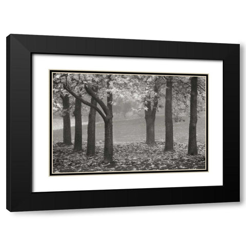 Colors in the Mist VII BandW Black Modern Wood Framed Art Print with Double Matting by Geyman, Vitaly