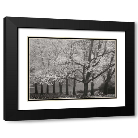 Colors in the Mist VIII BandW Black Modern Wood Framed Art Print with Double Matting by Geyman, Vitaly