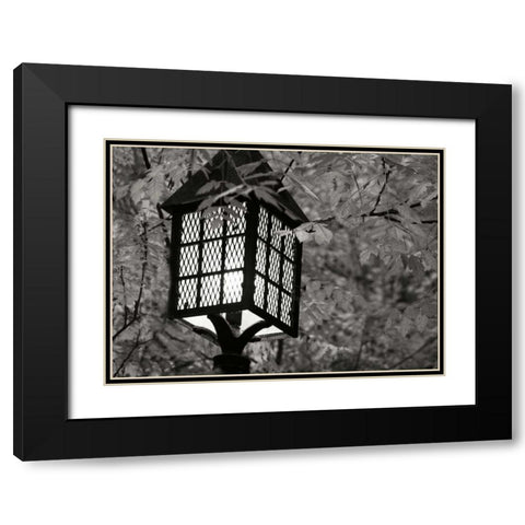 Fall Lighting I BandW Black Modern Wood Framed Art Print with Double Matting by Geyman, Vitaly